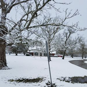 Meet your Posher, Luis